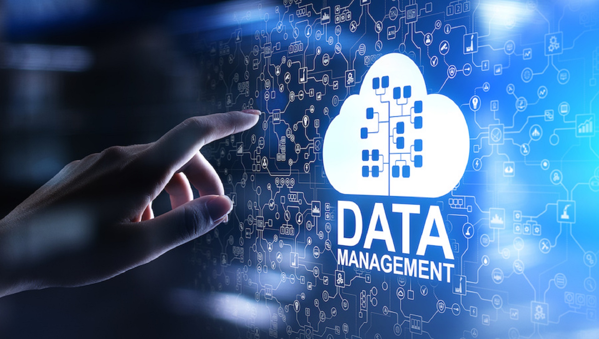 Data Entry Services